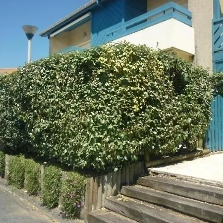 Capbreton, 2 Pieces, 4 Personnes - Fr-1-247-172 Apartamento